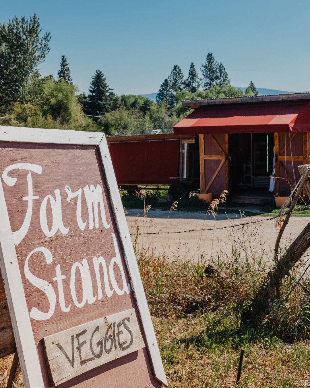 Trust Land Farm Field Day