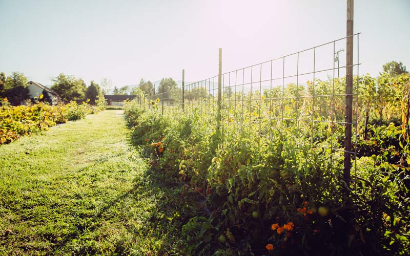 Farm Connect Montana helps protect agricultural land by working with landowners to access and understand unique conservation tools and options for conserving their agricultural property.