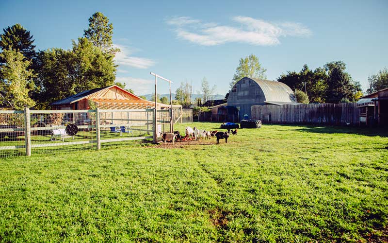 Land Link connects Montana agricultural landowners with farmers and ranchers seeking land to buy or lease for their business. List or seek land for sale or lease on our interactive map and make connections based on a variety of customized fields.