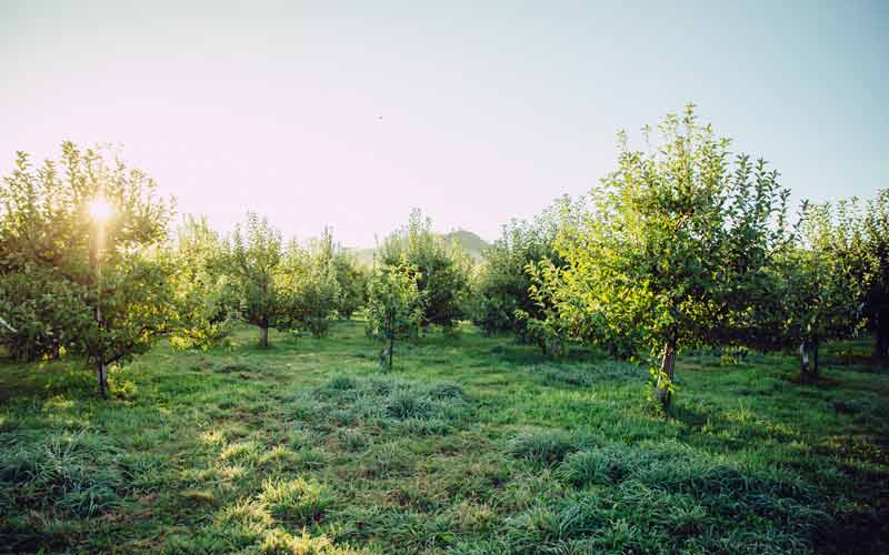 Read through helpful landowner information on topics including land access and leasing consultation services, lease guidelines and mediation, and farmland conservation issues.
